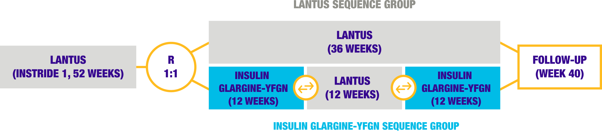 Graphical flowchart illustrating the study design